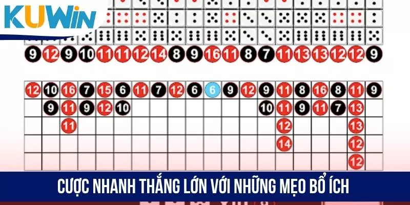 Cược nhanh thắng lớn với những mẹo bổ ích
