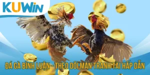 Đá Gà Bình Luận - Theo Dõi Những Màn Tranh Tài Siêu Hấp Dẫn