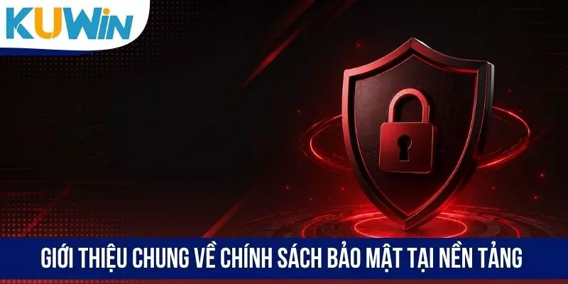 Giới thiệu chung về chính sách bảo mật tại nền tảng