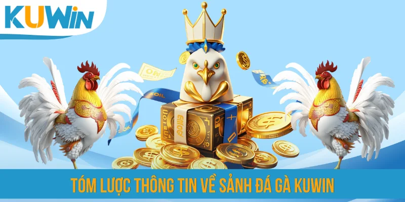 Tóm lược thông tin về sảnh đá gà KUWIN