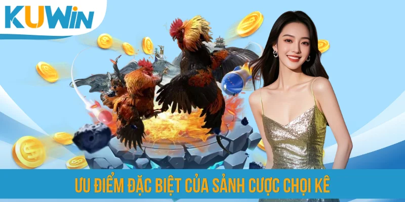 Ưu điểm đặc biệt của sảnh cược chọi kê
